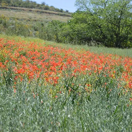 Rural Juncalillo